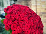عيد العشاق و ترجمته في الورود والوانها