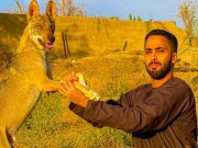عامر التميمي يعيد للناس متعة الاستماع للقصص الواقعية من قلب المغامرة